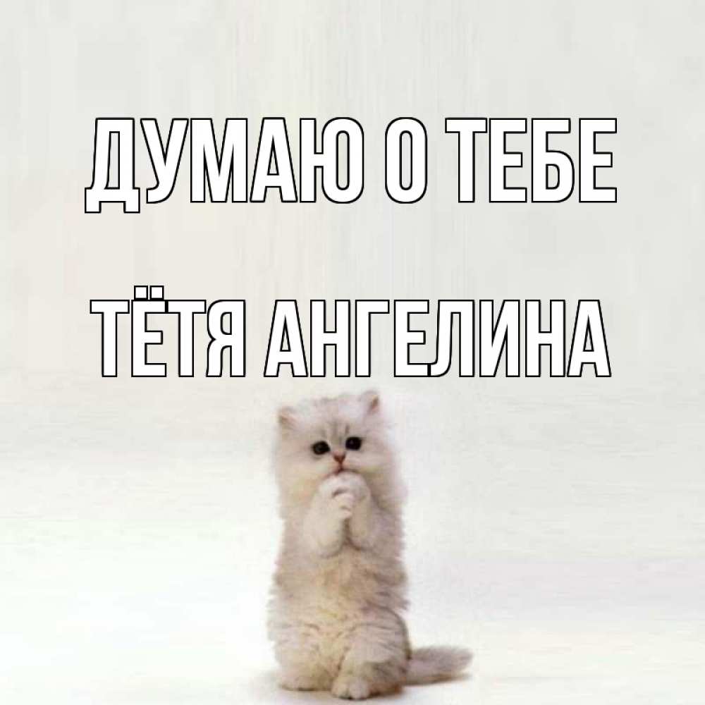 Открытка на каждый день с именем, Тётя-Ангелина Думаю о тебе кот стоит на задних лапах Прикольная открытка с пожеланием онлайн скачать бесплатно 