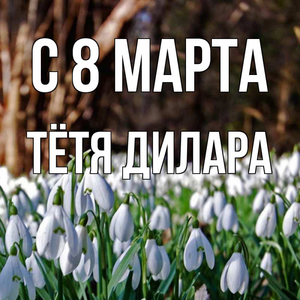 Открытка на каждый день с именем, Тётя-Дилара С 8 МАРТА с подснежниками 1 Прикольная открытка с пожеланием онлайн скачать бесплатно 