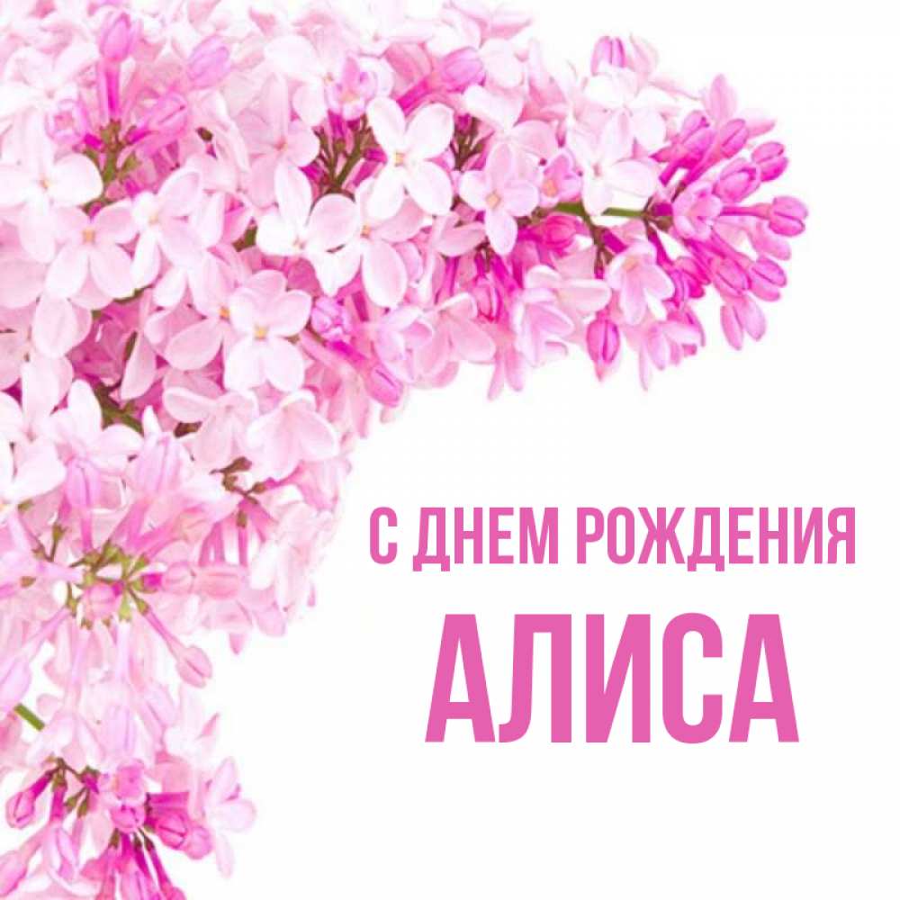Открытка на каждый день с именем, алиса С днем рождения Сирень на белом фоне Прикольная открытка с пожеланием онлайн скачать бесплатно 