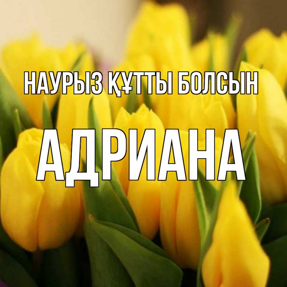 Открытка на каждый день с именем, Адриана Наурыз құтты болсын цветы Прикольная открытка с пожеланием онлайн скачать бесплатно 