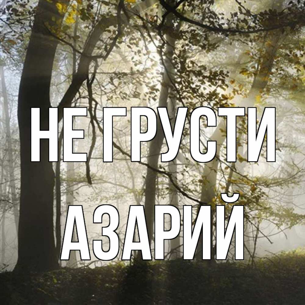 Открытка на каждый день с именем, Азарий Не грусти лес и свет Прикольная открытка с пожеланием онлайн скачать бесплатно 