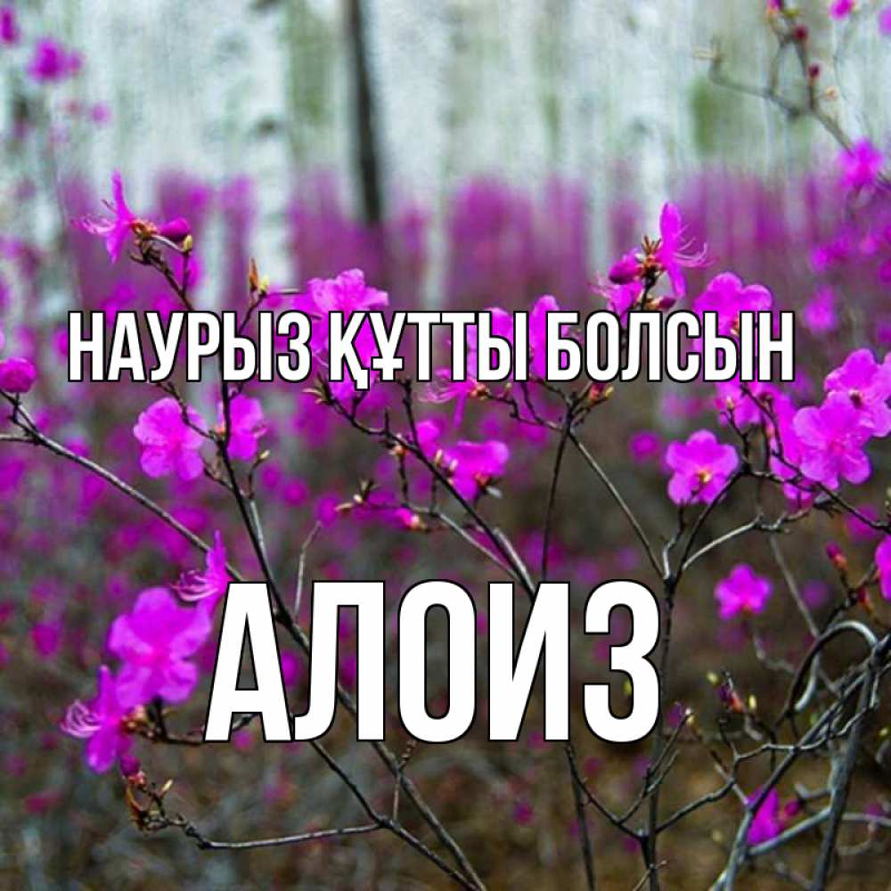 Открытка на каждый день с именем, Алоиз Наурыз құтты болсын дикие цветы Прикольная открытка с пожеланием онлайн скачать бесплатно 