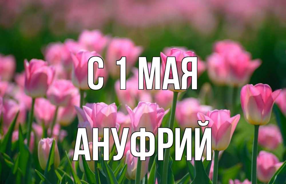 Открытка на каждый день с именем, Ануфрий С 1 мая С 1 мая Прикольная открытка с пожеланием онлайн скачать бесплатно 