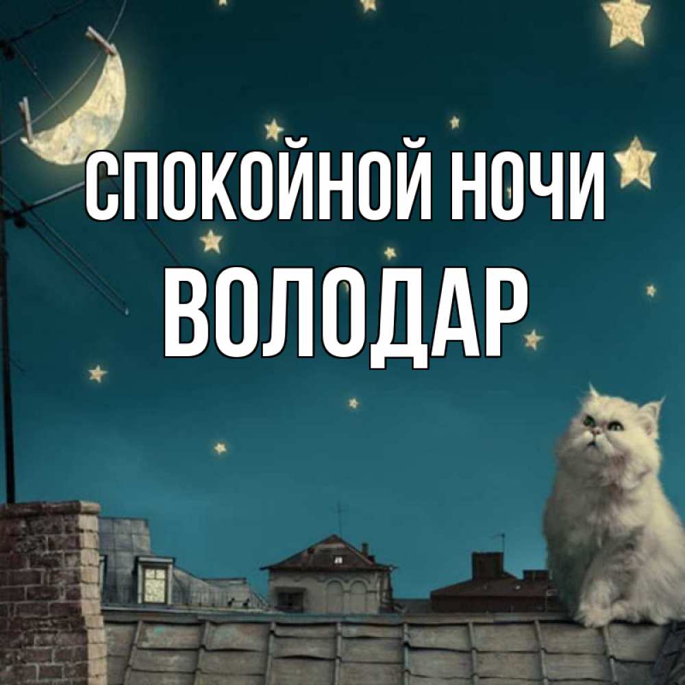 Открытка на каждый день с именем, Володар Спокойной ночи белый кот сидит на крыше Прикольная открытка с пожеланием онлайн скачать бесплатно 