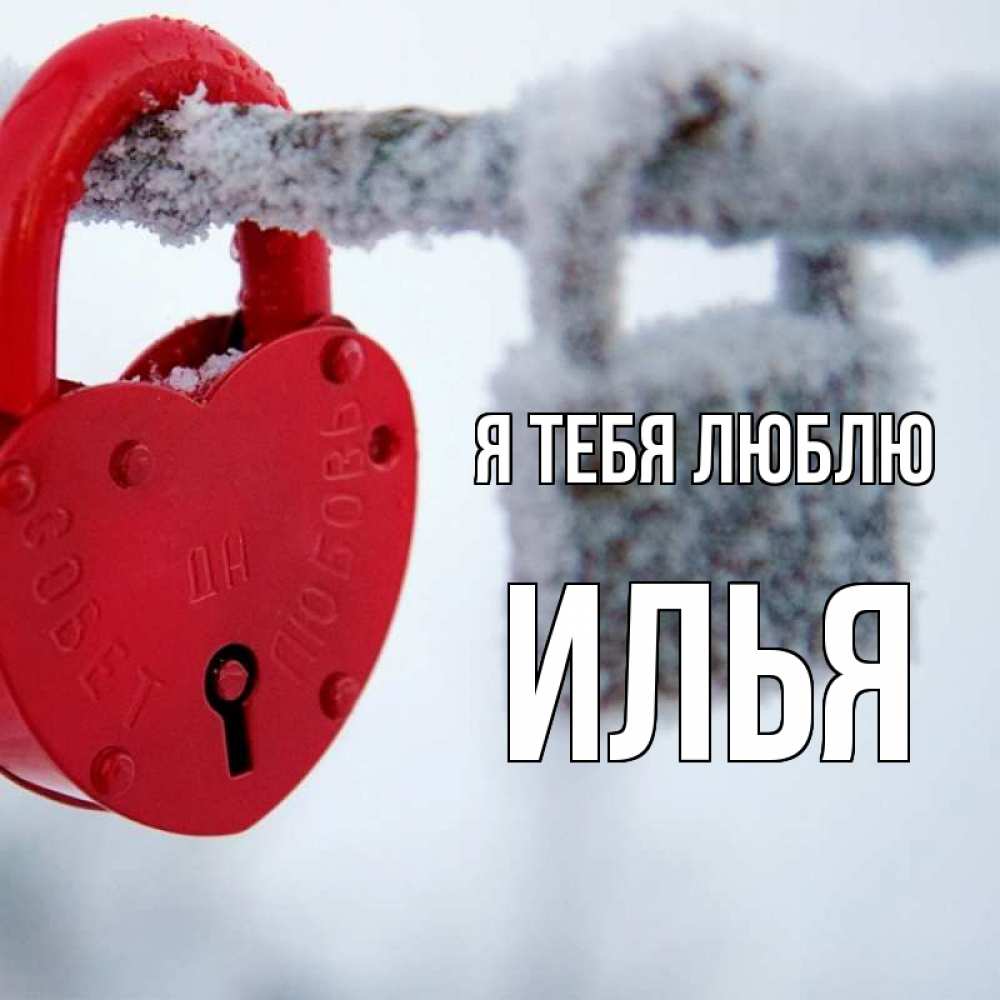 Открытка на каждый день с именем, Илья Я тебя люблю любви Прикольная открытка с пожеланием онлайн скачать бесплатно 