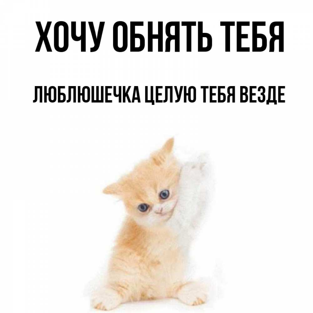 Открытка на каждый день с именем, Люблюшечка-целую-тебя-везде Хочу обнять тебя я хочу очень скорее обнимаешек Прикольная открытка с пожеланием онлайн скачать бесплатно 