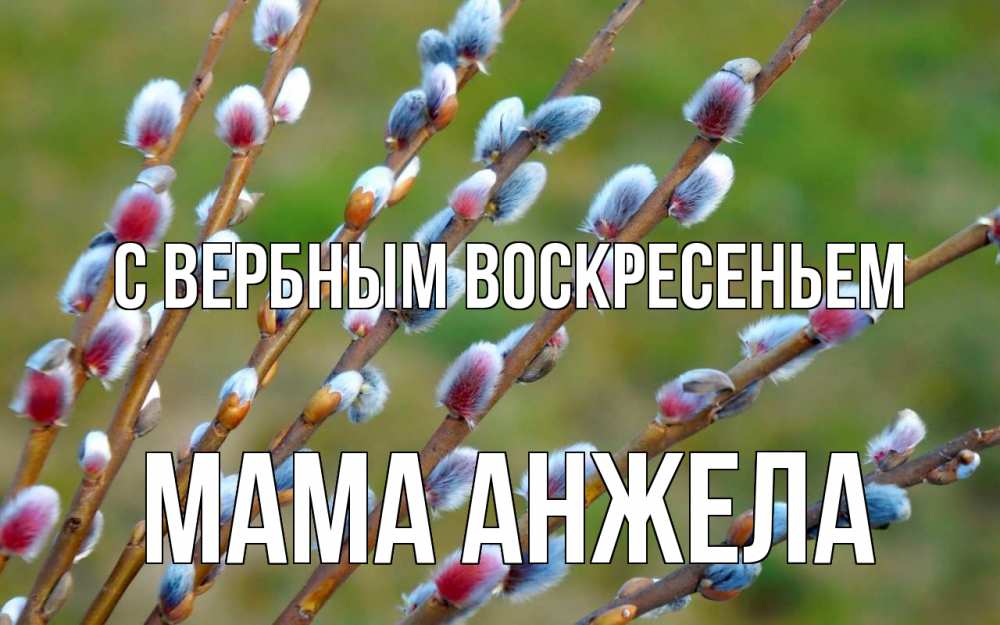 Открытка на каждый день с именем, Мама-Анжела С вербным воскресеньем верба Прикольная открытка с пожеланием онлайн скачать бесплатно 