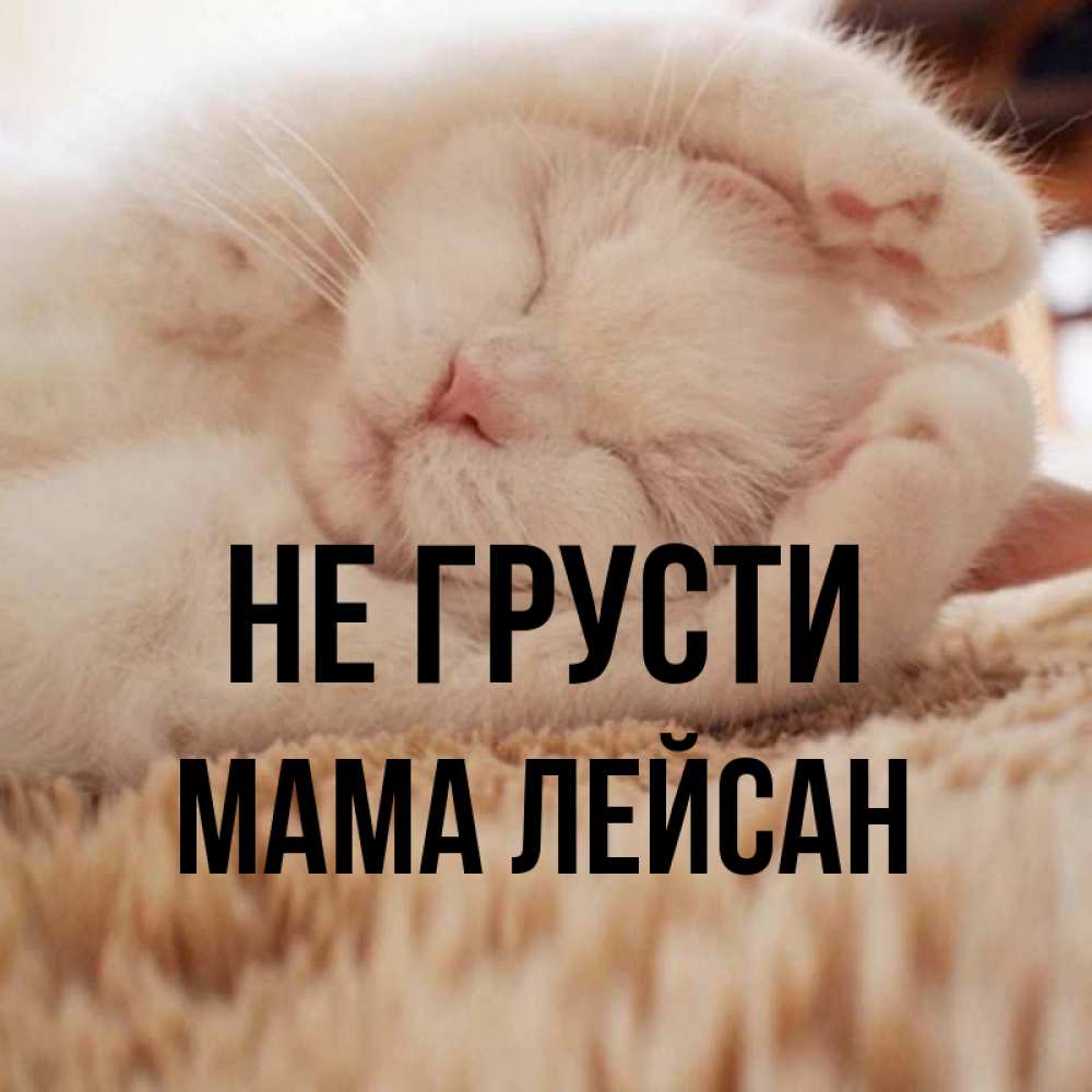 Открытка на каждый день с именем, Мама-Лейсан Не грусти Котенок спит Прикольная открытка с пожеланием онлайн скачать бесплатно 
