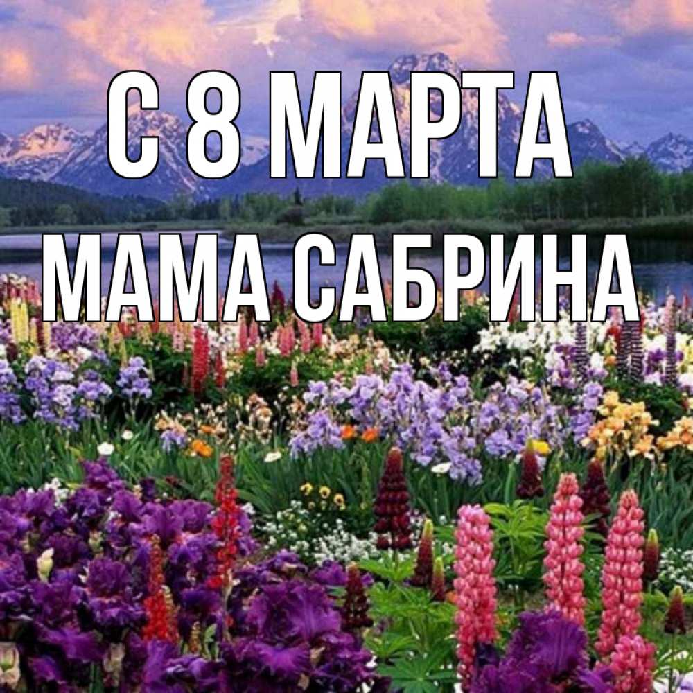 Открытка на каждый день с именем, Мама-Сабрина С 8 МАРТА международный женский день Прикольная открытка с пожеланием онлайн скачать бесплатно 