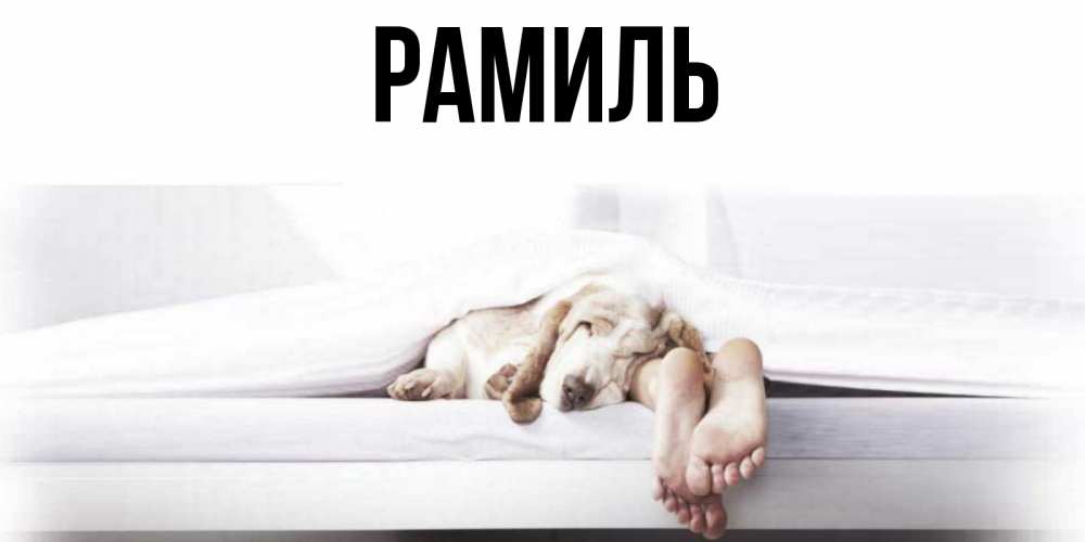 Открытка на каждый день с именем, Рамиль Главная кровать с собакой пожелание сладких снов и спокойной ночи Прикольная открытка с пожеланием онлайн скачать бесплатно 