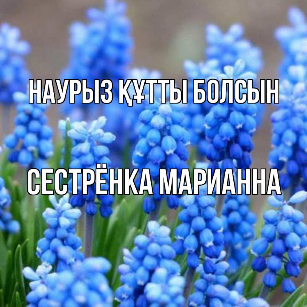 Открытка на каждый день с именем, Сестрёнка-Марианна Наурыз құтты болсын Поздравительная открытка для женщин с цветами на праздничную дату Прикольная открытка с пожеланием онлайн скачать бесплатно 