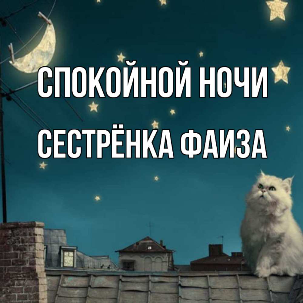 Открытка на каждый день с именем, Сестрёнка-Фаиза Спокойной ночи белый кот сидит на крыше Прикольная открытка с пожеланием онлайн скачать бесплатно 