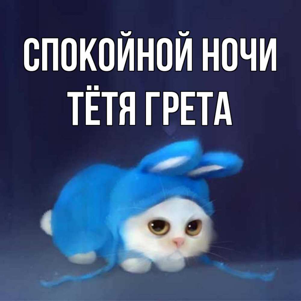 Открытка на каждый день с именем, Тётя-Грета Спокойной ночи кот в голубом костюме кролика с ушками Прикольная открытка с пожеланием онлайн скачать бесплатно 