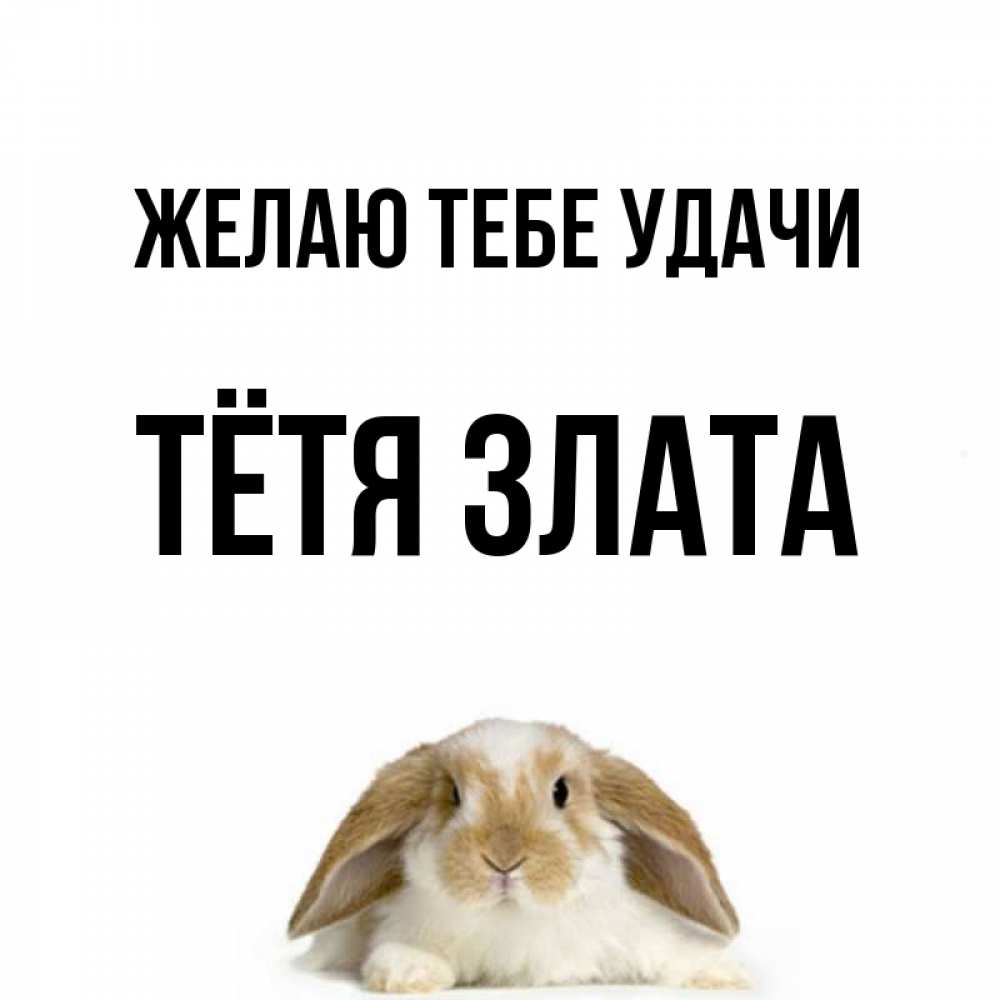 Открытка на каждый день с именем, Тётя-Злата Желаю тебе удачи открытки с произвольным текстом который можно вставить в открытку и создать ее самостоятельно бесплатно онлайн Прикольная открытка с пожеланием онлайн скачать бесплатно 