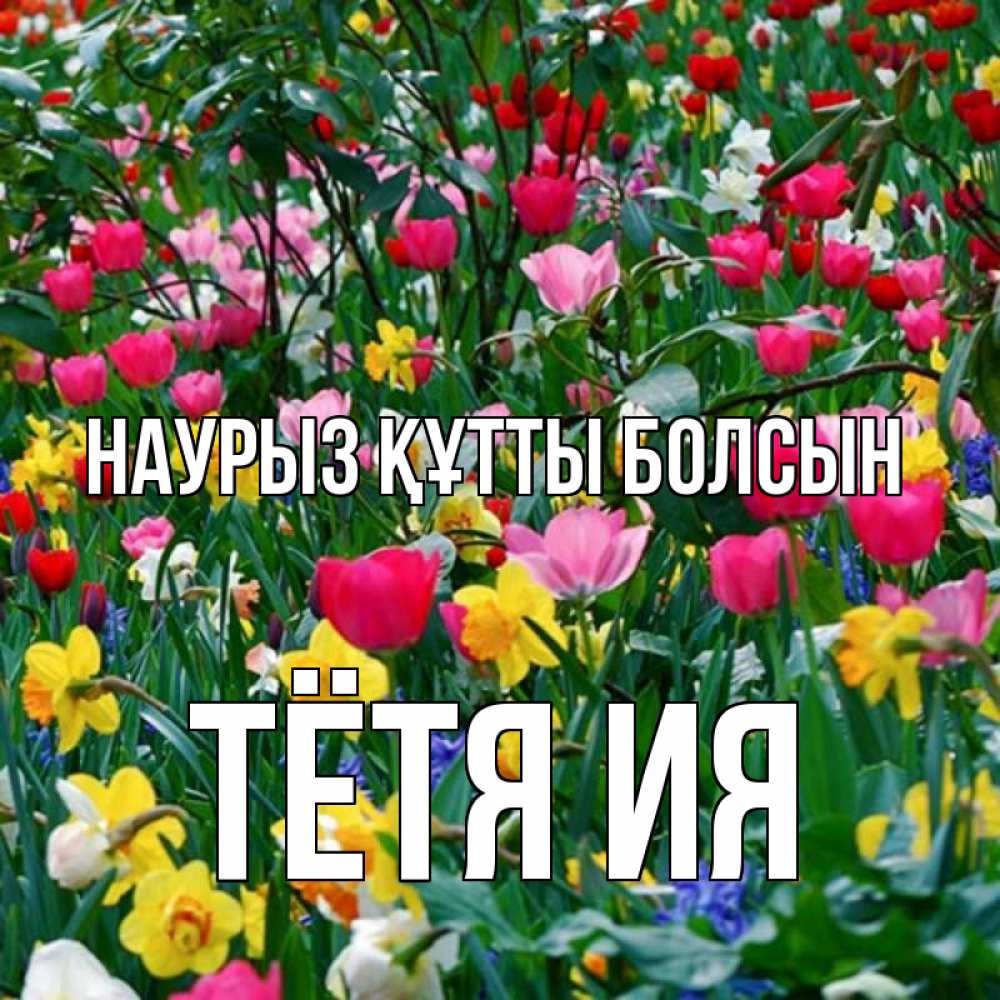 Открытка на каждый день с именем, Тётя-Ия Наурыз құтты болсын с наурызом поздравления для женщины Прикольная открытка с пожеланием онлайн скачать бесплатно 