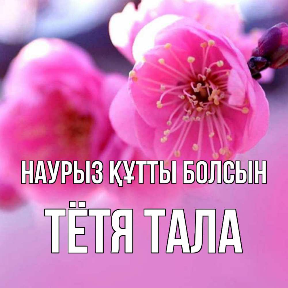 Открытка на каждый день с именем, Тётя-Тала Наурыз құтты болсын наурыз мейрам Прикольная открытка с пожеланием онлайн скачать бесплатно 