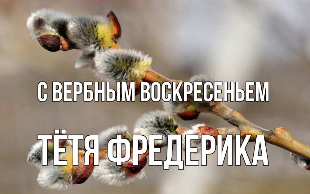 Открытка на каждый день с именем, Тётя-Фредерика С вербным воскресеньем Верба Прикольная открытка с пожеланием онлайн скачать бесплатно 
