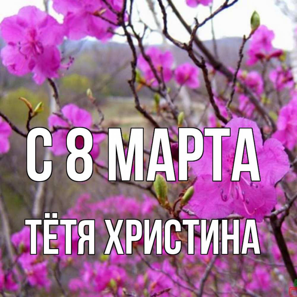 Открытка на каждый день с именем, Тётя-Христина С 8 марта международный женский день Прикольная открытка с пожеланием онлайн скачать бесплатно 