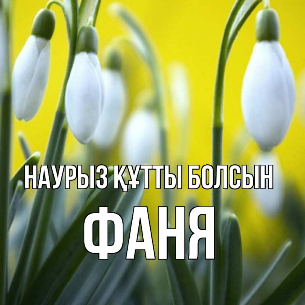 Открытка на каждый день с именем, Фаня Наурыз құтты болсын весенние цветы Прикольная открытка с пожеланием онлайн скачать бесплатно 