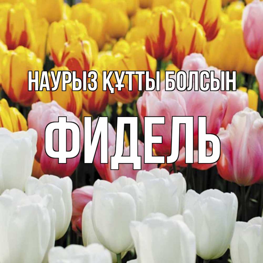 Открытка на каждый день с именем, Фидель Наурыз құтты болсын разноцветные цветы Прикольная открытка с пожеланием онлайн скачать бесплатно 