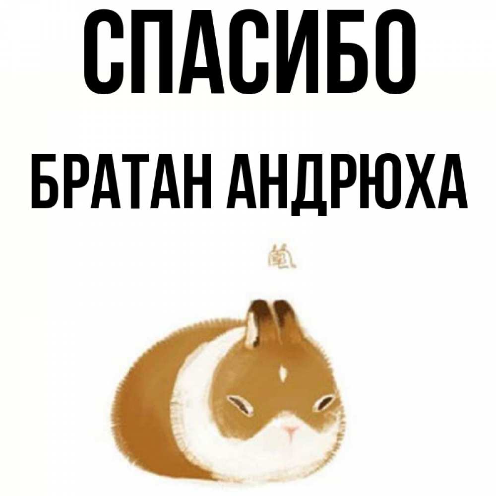 Спасибо братуха картинки