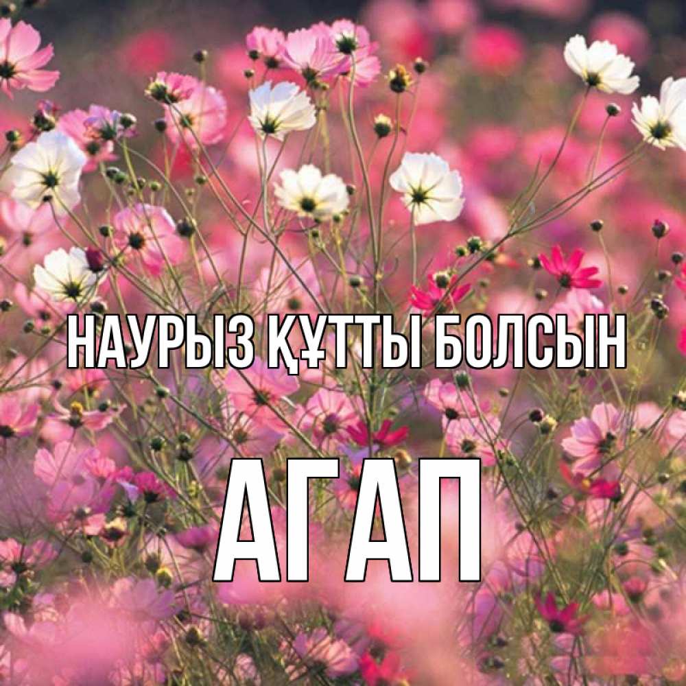 Открытка на каждый день с именем, Агап Наурыз құтты болсын красиво 1 Прикольная открытка с пожеланием онлайн скачать бесплатно 