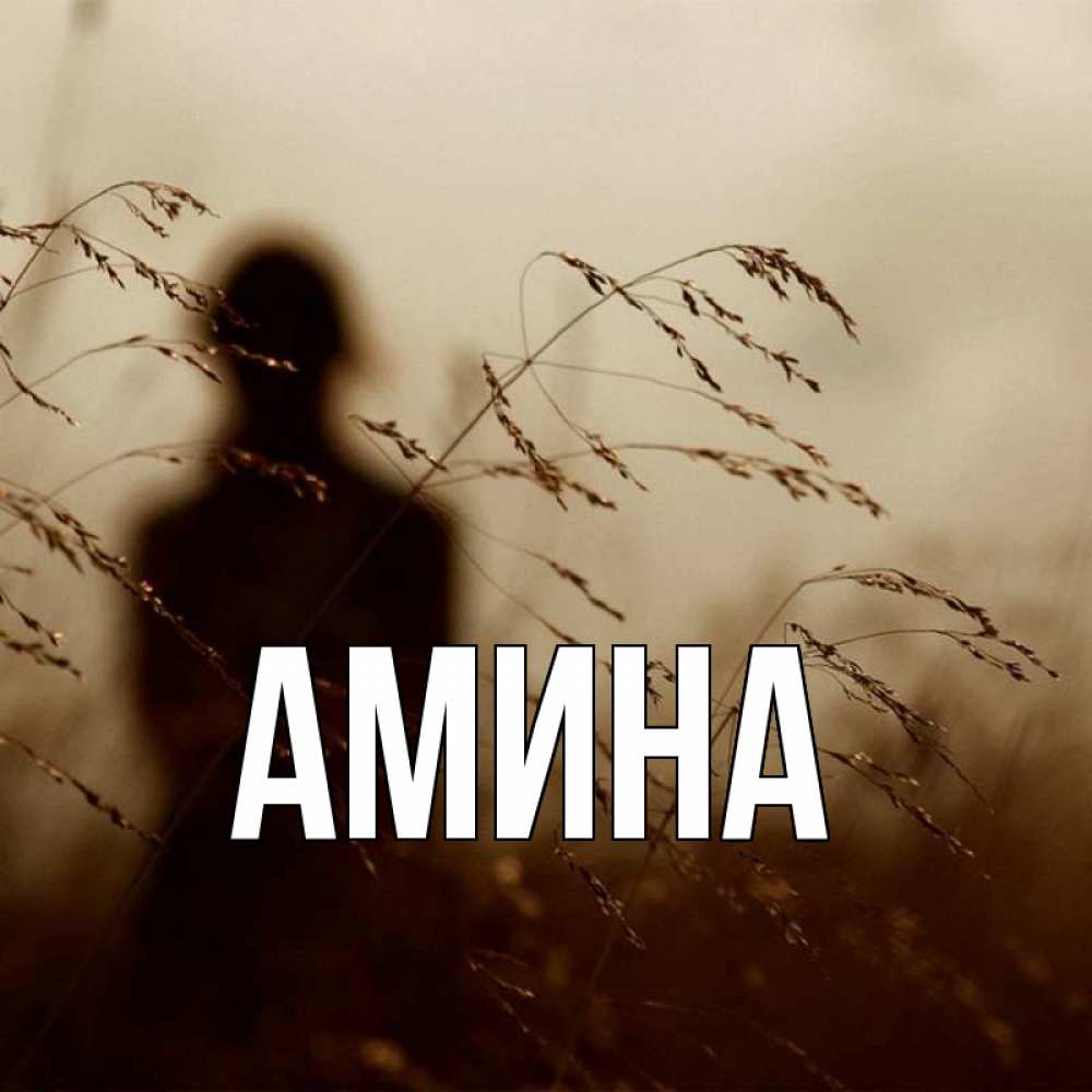 Открытка на каждый день с именем, Амина Главная силуэт девушки Прикольная открытка с пожеланием онлайн скачать бесплатно 