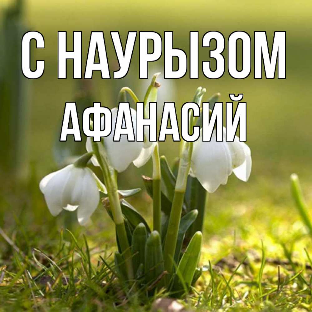 Открытка на каждый день с именем, Афанасий С наурызом ранние цветы 2 Прикольная открытка с пожеланием онлайн скачать бесплатно 