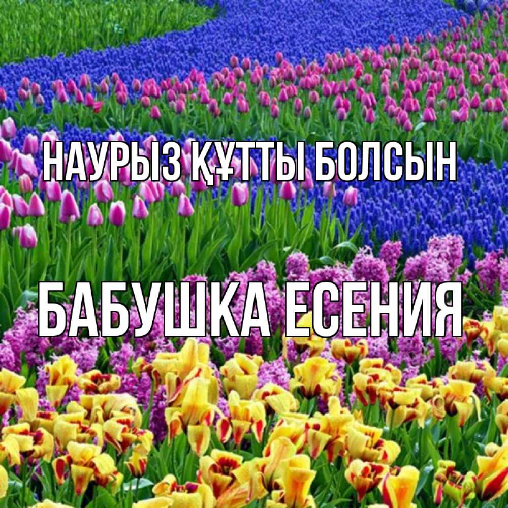 Открытка на каждый день с именем, Бабушка-Есения Наурыз құтты болсын цветы Прикольная открытка с пожеланием онлайн скачать бесплатно 