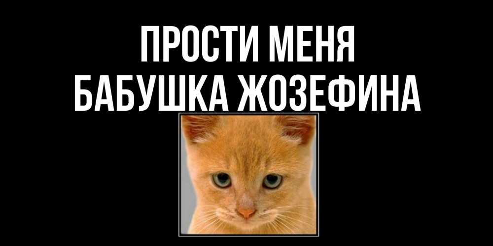 Открытка на каждый день с именем, Бабушка-Жозефина Прости меня рыжий грустный кот просит прощения Прикольная открытка с пожеланием онлайн скачать бесплатно 