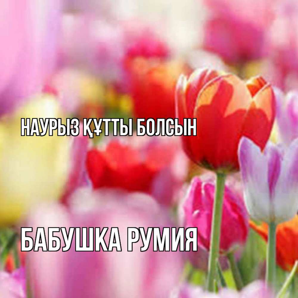 Открытка на каждый день с именем, Бабушка-Румия Наурыз құтты болсын на наурыз  2 Прикольная открытка с пожеланием онлайн скачать бесплатно 