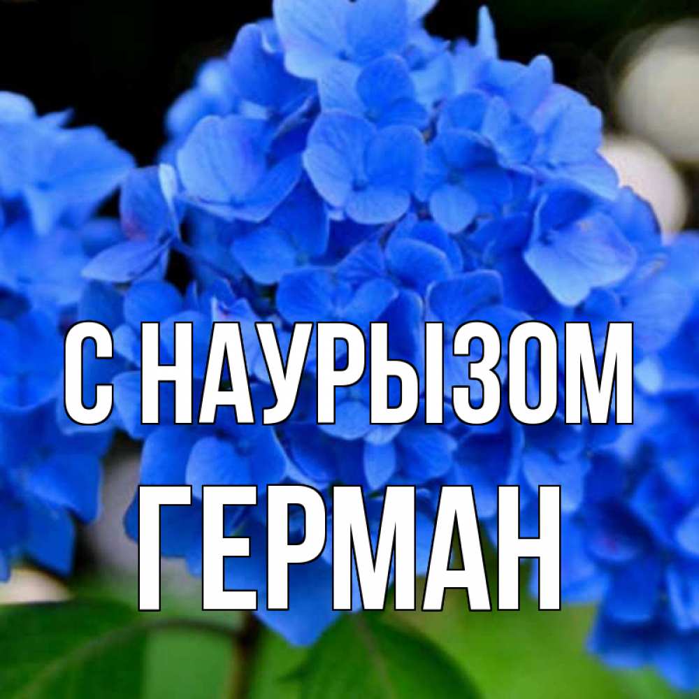 Открытка на каждый день с именем, Герман С наурызом синие цветы Прикольная открытка с пожеланием онлайн скачать бесплатно 