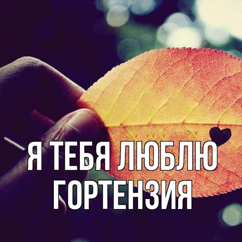 Открытка на каждый день с именем, Гортензия Я тебя люблю держу лист Прикольная открытка с пожеланием онлайн скачать бесплатно 