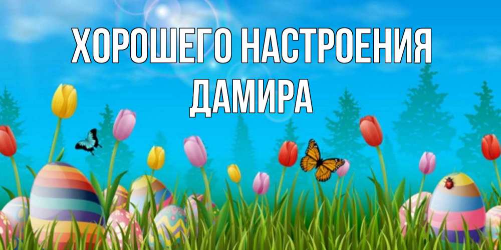 Открытка на каждый день с именем, Дамира Хорошего настроения небо и тюльпаны с бабочкой Прикольная открытка с пожеланием онлайн скачать бесплатно 