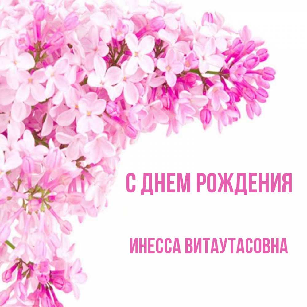 Открытка на каждый день с именем, Инесса-Витаутасовна С днем рождения Сирень на белом фоне Прикольная открытка с пожеланием онлайн скачать бесплатно 