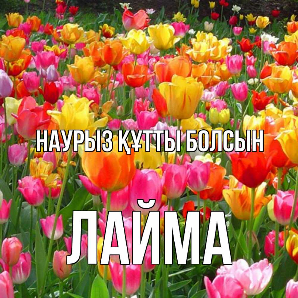 Открытка на каждый день с именем, Лайма Наурыз құтты болсын на наурыз  ура ура Прикольная открытка с пожеланием онлайн скачать бесплатно 