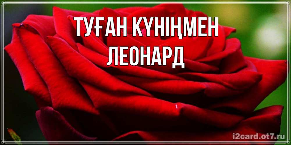 Открытка на каждый день с именем, Леонард Туған күніңмен розочка очень красивая Прикольная открытка с пожеланием онлайн скачать бесплатно 