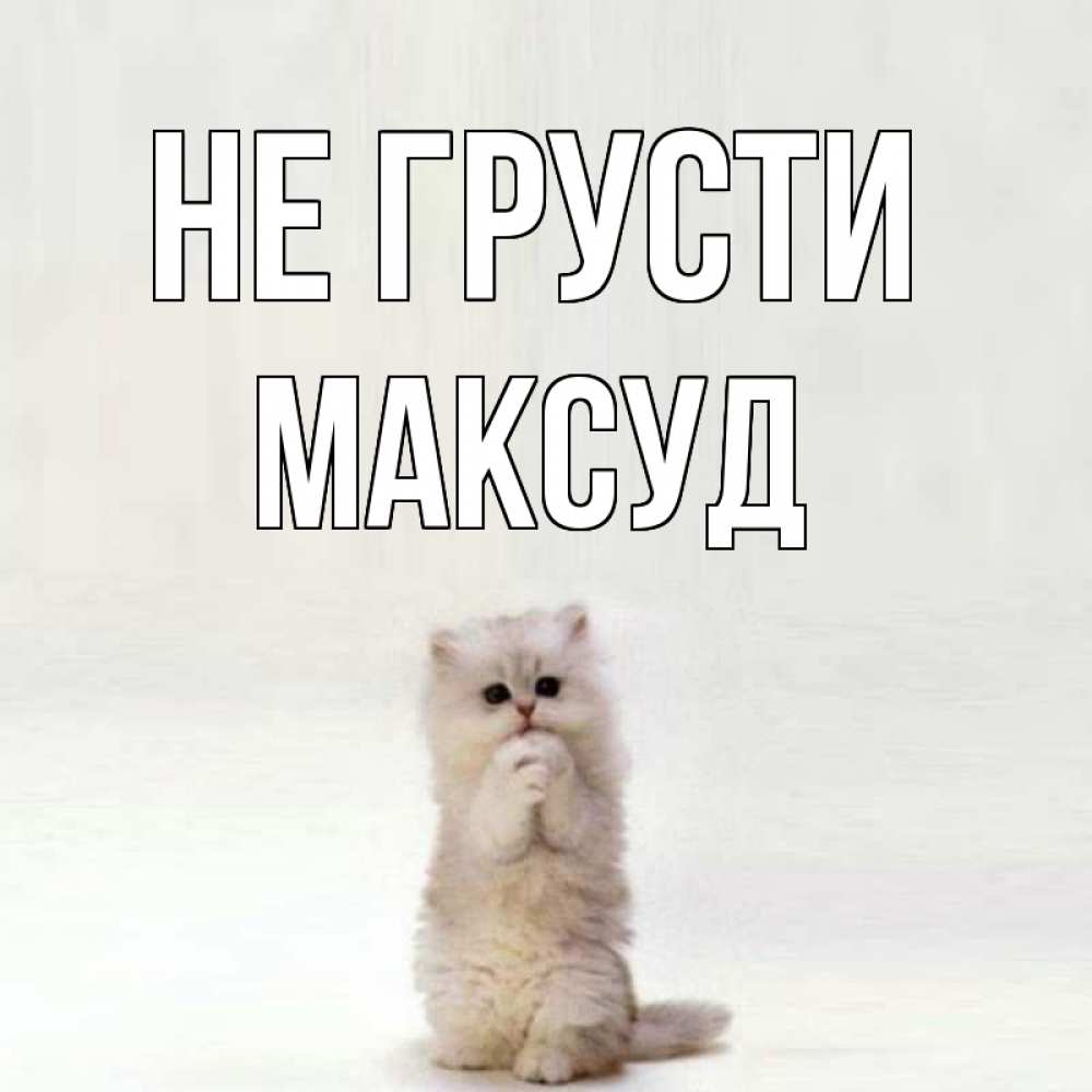 Открытка на каждый день с именем, Максуд Не грусти грустный кот Прикольная открытка с пожеланием онлайн скачать бесплатно 