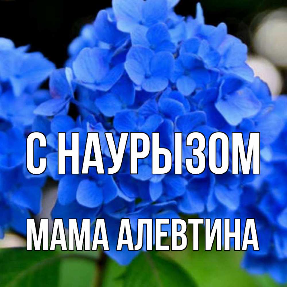 Открытка на каждый день с именем, Мама-Алевтина С наурызом синие цветы Прикольная открытка с пожеланием онлайн скачать бесплатно 
