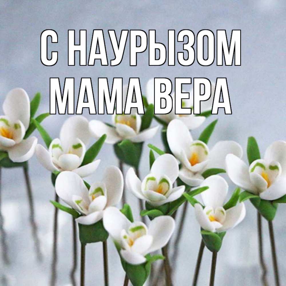 Открытка на каждый день с именем, Мама-Вера С наурызом весенние цветы Прикольная открытка с пожеланием онлайн скачать бесплатно 