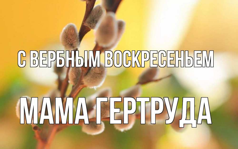 Открытка на каждый день с именем, Мама-Гертруда С вербным воскресеньем верба Прикольная открытка с пожеланием онлайн скачать бесплатно 