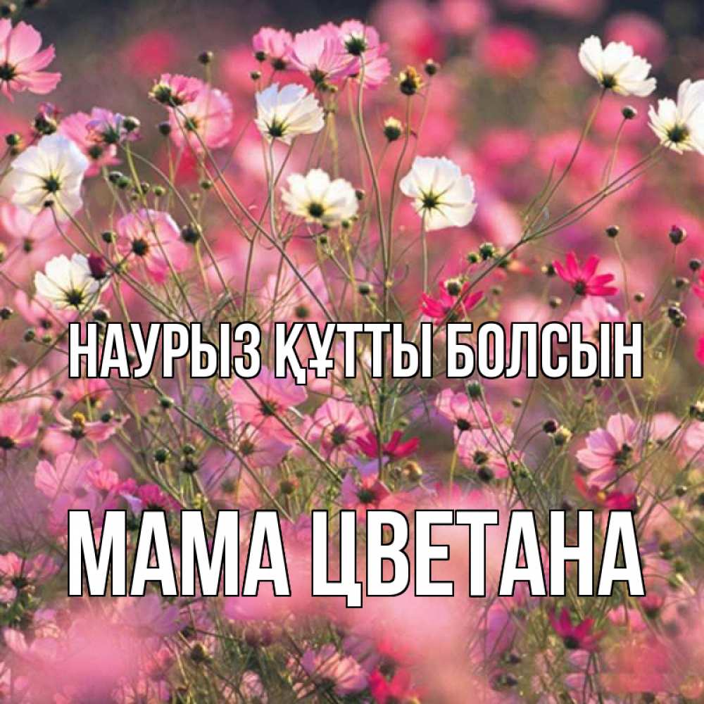 Открытка на каждый день с именем, Мама-Цветана Наурыз құтты болсын красиво 1 Прикольная открытка с пожеланием онлайн скачать бесплатно 