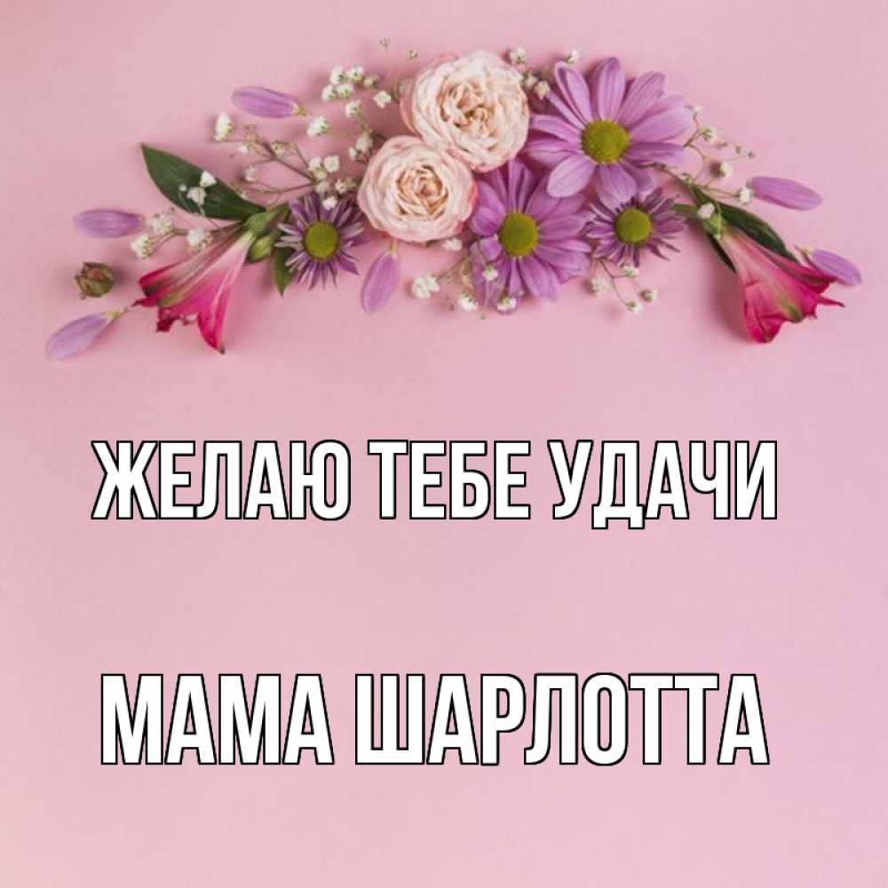 Открытка на каждый день с именем, Мама-Шарлотта Желаю тебе удачи розовый фон Прикольная открытка с пожеланием онлайн скачать бесплатно 