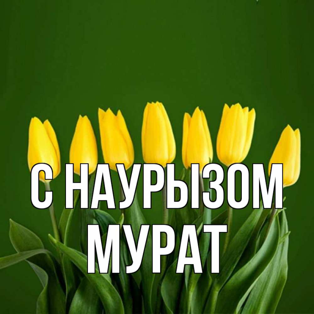 Открытка на каждый день с именем, Мурат С наурызом желтого цвета 3 Прикольная открытка с пожеланием онлайн скачать бесплатно 