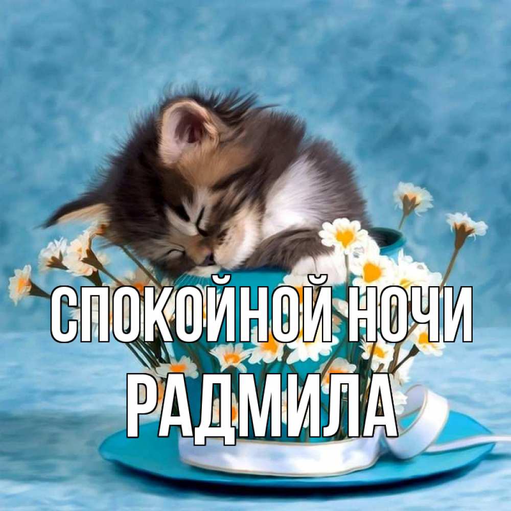 Открытка на каждый день с именем, Радмила Спокойной ночи котенок спит в кружке с блюдцем Прикольная открытка с пожеланием онлайн скачать бесплатно 