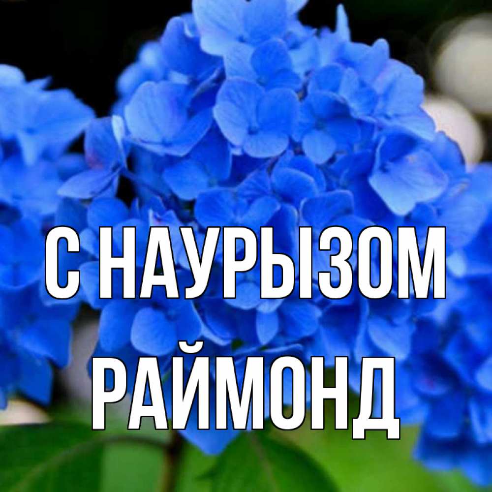 Открытка на каждый день с именем, Раймонд С наурызом синие цветы Прикольная открытка с пожеланием онлайн скачать бесплатно 