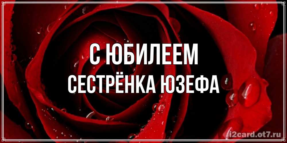Открытка на каждый день с именем, Сестрёнка-Юзефа С юбилеем крупная бордовая роза Прикольная открытка с пожеланием онлайн скачать бесплатно 