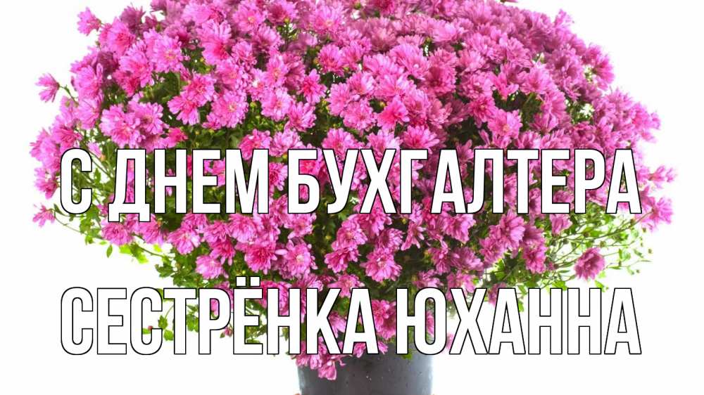 Открытка на каждый день с именем, Сестрёнка-Юханна С днем бухгалтера с днем бухгалтера Прикольная открытка с пожеланием онлайн скачать бесплатно 