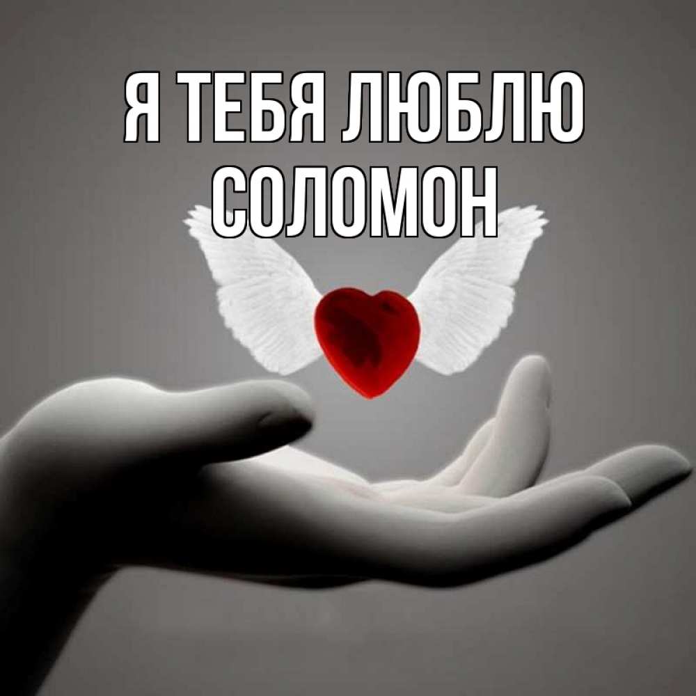 Открытка на каждый день с именем, Соломон Я тебя люблю сердце Прикольная открытка с пожеланием онлайн скачать бесплатно 