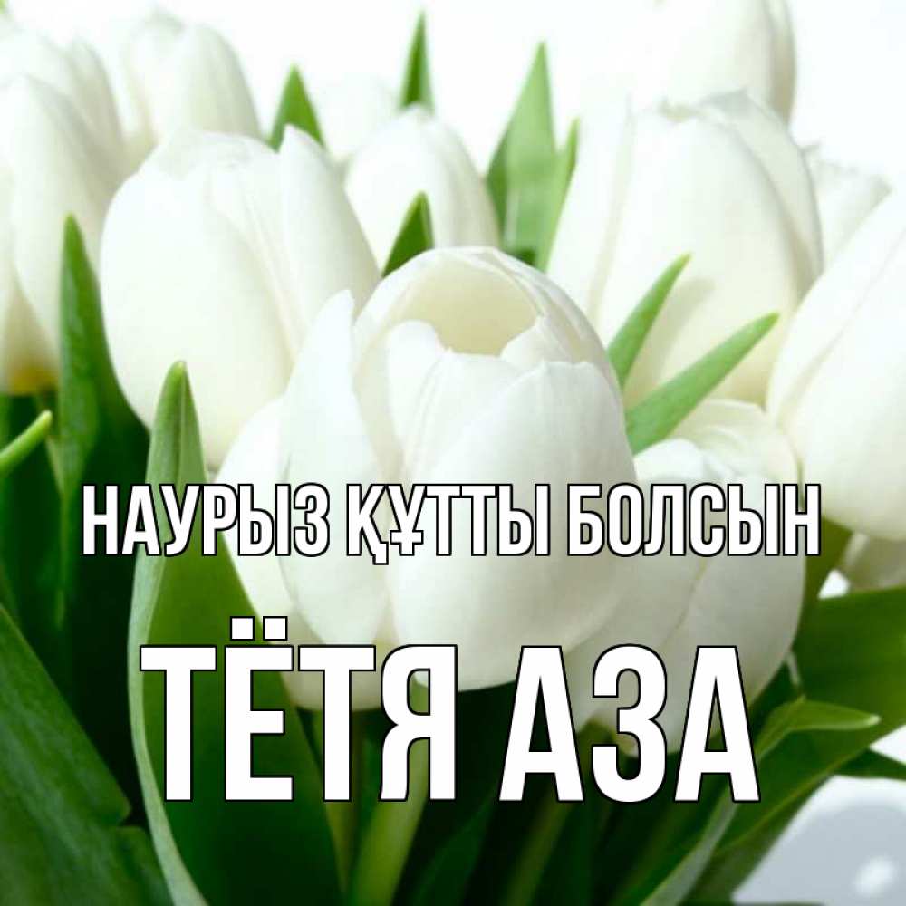 Открытка на каждый день с именем, Тётя-Аза Наурыз құтты болсын цветы Прикольная открытка с пожеланием онлайн скачать бесплатно 